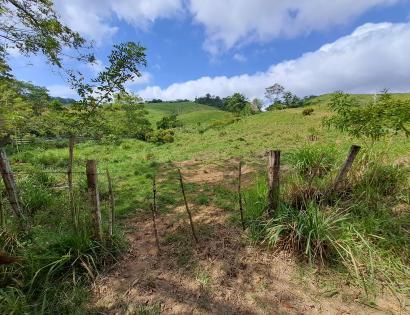 Imagen de bien en venta ubicado en: Darién, Pinogana, Yaviza