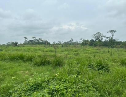 Imagen de bien en venta ubicado en: Darién, Pinogana, Metetí, Pinogana