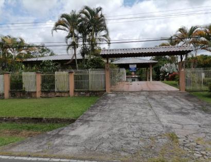Imagen de bien en venta ubicado en: Chiriquí, Bugaba, Santo Domingo, Manchuila, Manchuila