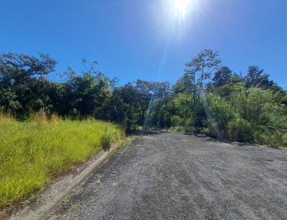 Imagen de bien en venta ubicado en: Chiriquí, Boquete, Boquete, Olimpo
