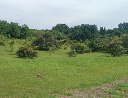 Imagen de bien en venta ubicado en: Panamá Oeste, Chame, Las Lajas, Urb. Villa Campestres De Las Lajas, Lote No.1, 20, 26, 27, 51 y 52
