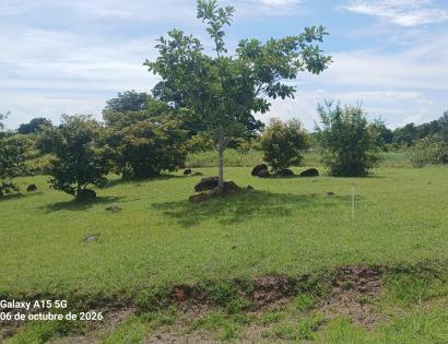 Imagen de bien en venta ubicado en: Panamá Oeste, Chame, Las Lajas, Urb. Villa Campestres De Las Lajas, Lote No.1, 20, 26, 27, 51 y 52