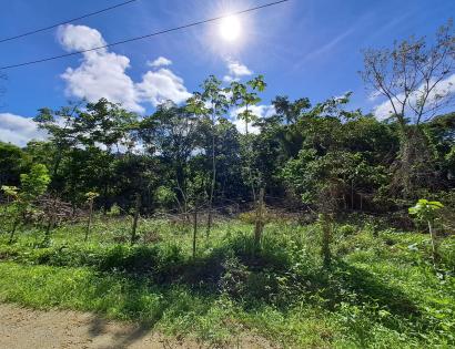 Imagen de bien en venta ubicado en: Darién, Chepigana, La Palma, 