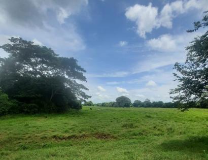 Imagen de bien en venta ubicado en: Coclé, Aguadulce, Cabecera, , 