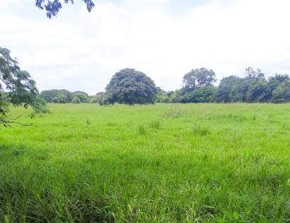 Imagen de bien en venta ubicado en: Coclé, Aguadulce, Cabecera, , 