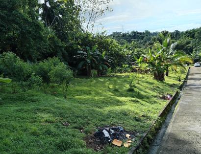 Imagen de bien en venta ubicado en: Panamá, Panamá, Pedregal, La Primavera, 3