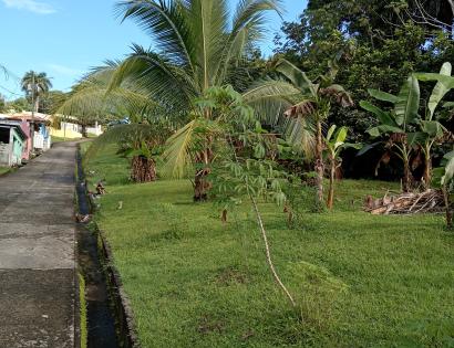 Imagen de bien en venta ubicado en: Panamá, Panamá, Pedregal, La Primavera, 3