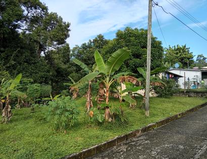 Imagen de bien en venta ubicado en: Panamá, Panamá, Pedregal, La Primavera, 3