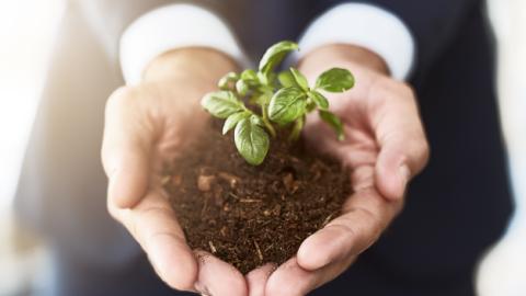 7-globalbank_bancaprivada_imagenes_sitioweb_mayo_2025_626x352-3.jpg